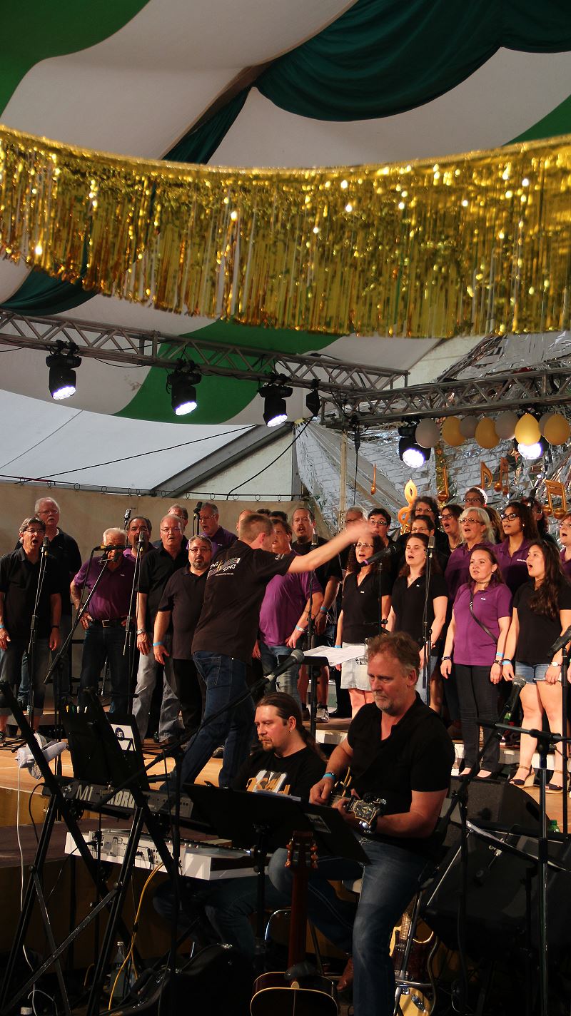 ../Images/2016-07-09 Konzert Adersbach (91).jpg